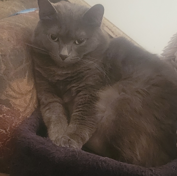 Not For Sale - Picture 2 of 2